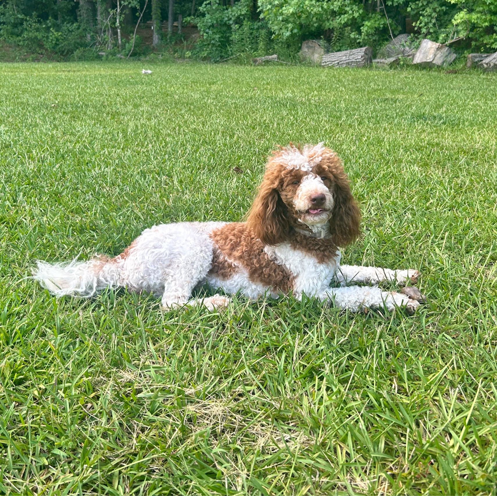 Minnie